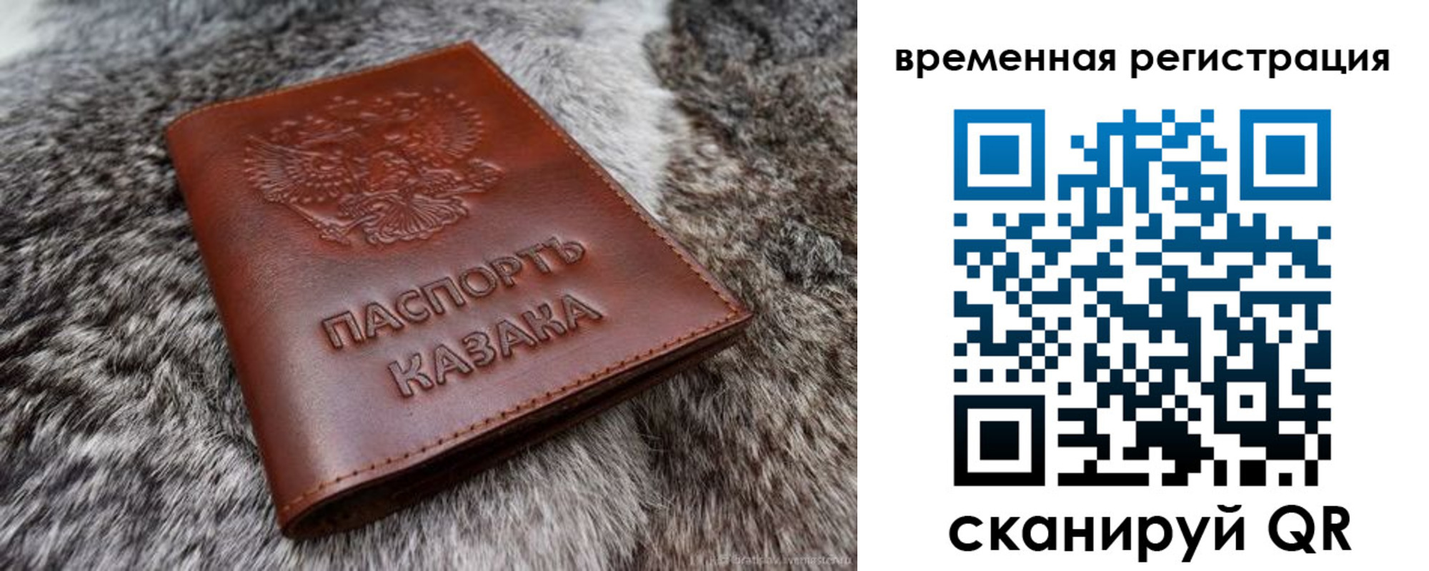 прописка 2025 в Котельниче